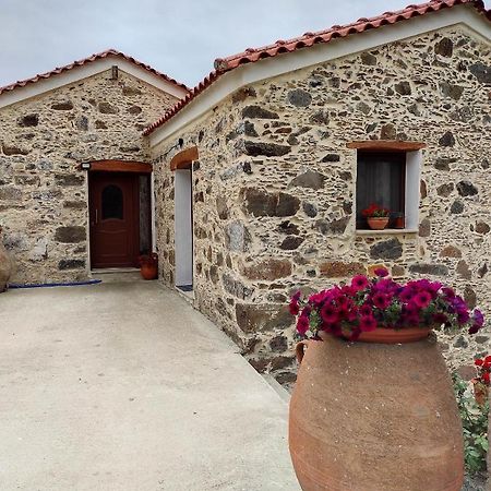 Alexander'S Cottage Limni  外观 照片