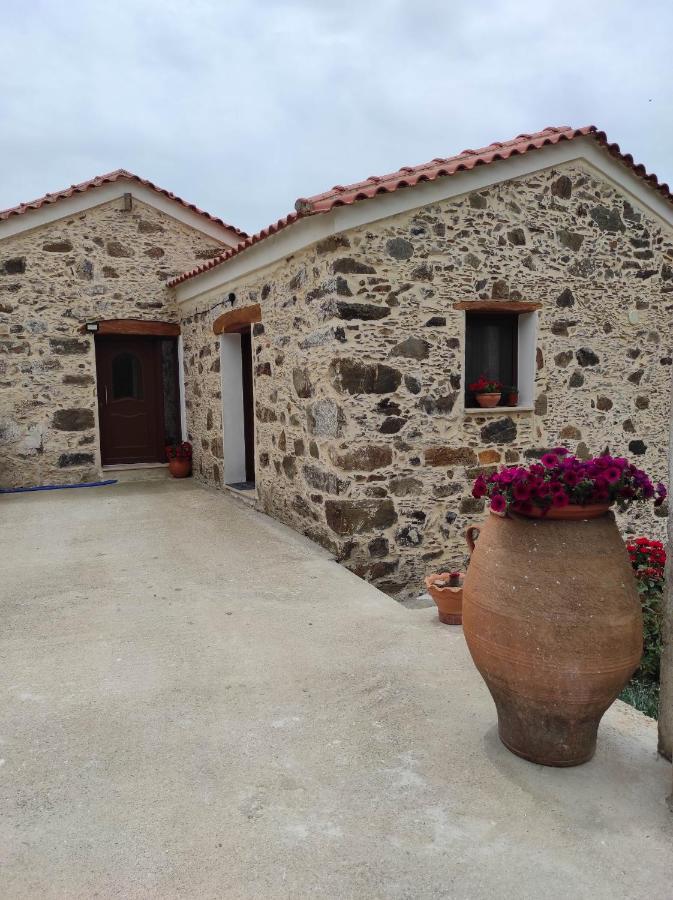 Alexander'S Cottage Limni  外观 照片